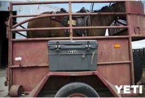 71x+BUldoqL._AC_SL1500_